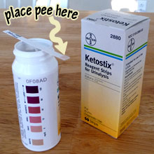 Bayer Ketostix Ketone Test Strips
